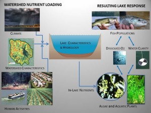 Generalized Watershed Nutrient Loading and Lake Response Model Schematic (Diagram courtesy of J. Schloss, UNH Center for Freshwater Biology)