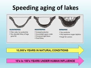 Graphic showing the productivity/trophic classification of lakes